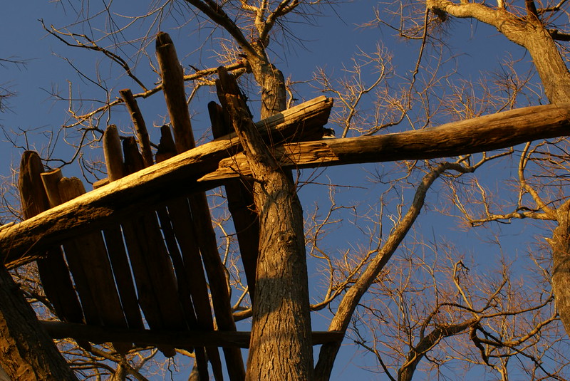 "Treehouse by Bethany Weeks"